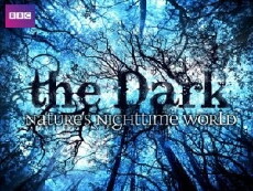 The Dark: Nature's Nighttime World (2012) - Stream Online