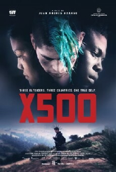 X500 (2016) - Stream Online