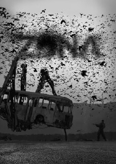 Zona (2017) - Stream Online