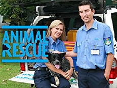 Animal Rescue (2006) - Stream Online