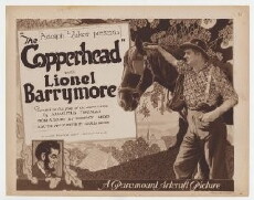 The Copperhead (1920) - Stream Online