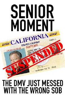 Senior Moment (2017) - Stream Online