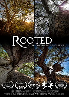 Rooted (2018) - Stream Online