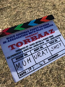 Torbaaz (2018) - Stream Online