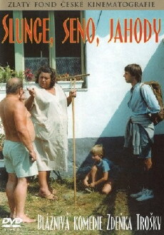 Slunce, seno, jahody (1984) - Stream Online
