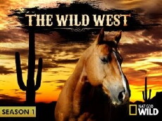 The Wild West (2013) - Stream Online
