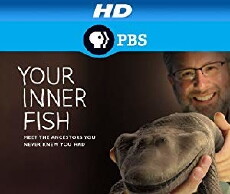 Der Fisch in uns (2014) - Stream Online