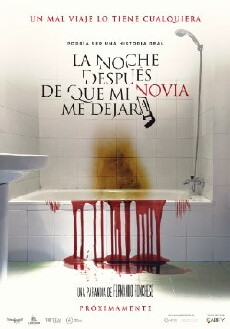 La noche después de que mi novia me dejara (2017) - Stream Online