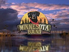 Minnesota Bound (1995) - Stream Online