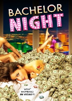 Bachelor Night (2014) - Stream Online
