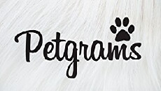 Petgrams (2014) - Stream Online