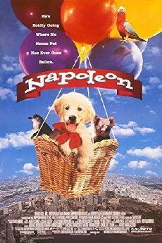 Napoleon - Abenteuer auf vier Pfoten (1995) - Stream Online