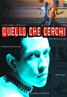 What Are You Looking For (2002) - Stream Online
