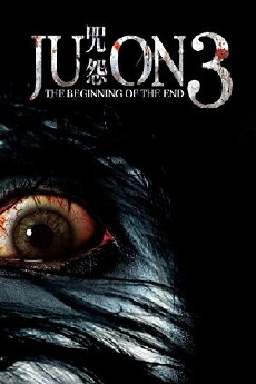 Ju-on: The Beginning of the End (2014) - Stream Online