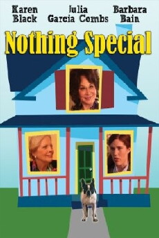 Nothing Special (2010) - Stream Online