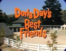 Doris Day's Best Friends (1985) - Stream Online