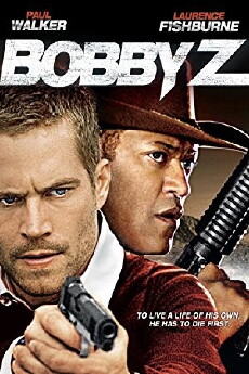 Bobby Z (2007) - Stream Online