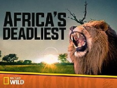 Africa's Deadliest (2011) - Stream Online