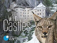 Wild Castles (2017) - Stream Online