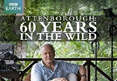 Attenborough: 60 Years in the Wild (2012) - Stream Online
