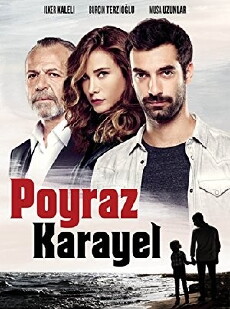 Poyraz Karayel (2015) - Stream Online