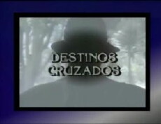 Destinos cruzados (1987) - Stream Online