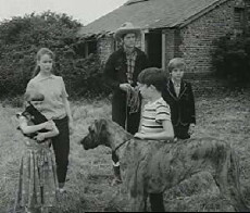 Beware of the Dog (1964) - Stream Online