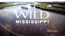 Wild Mississippi (2012) - Stream Online