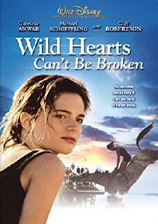 Wild Hearts Can't Be Broken (1991) - Stream Online