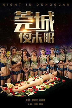 One Night in Dongguan (2016) - Stream Online