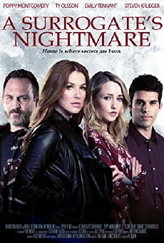 A Surrogate's Nightmare (2017) - Stream Online