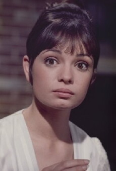 Gidget Grows Up (1969) - Stream Online