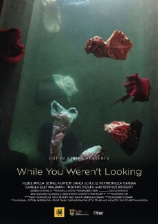 While You Weren't Looking (2015) - Stream Online