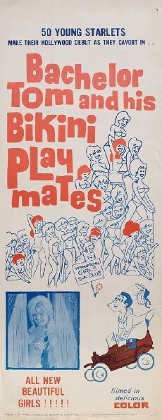 Bachelor Tom Peeping (1962) - Stream Online