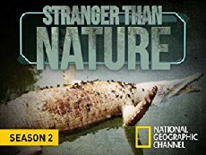 Wild Case Files (2011) - Stream Online