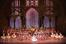 Le Corsaire (2016) - Stream Online