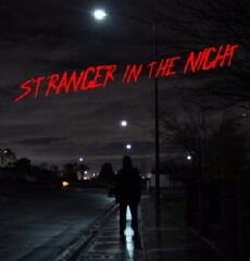 Stranger in the Night (2018) - Stream Online