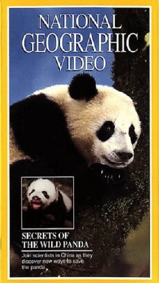 Secrets of the Wild Panda (1995) - Stream Online
