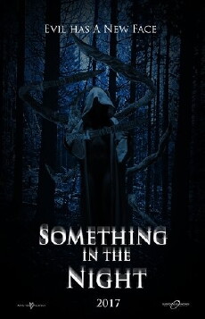 Something in the Night (2017) - Stream Online
