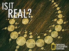 Is It Real? (2005) - Stream Online