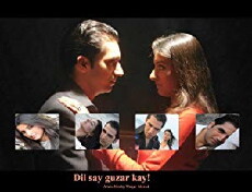 Dil Say Guzar Kay (2006) - Stream Online