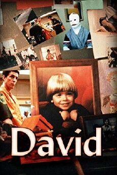 David (1988) - Stream Online