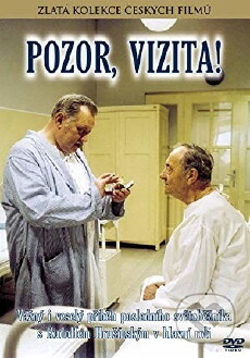 Achtung, Visite! (1982) - Stream Online