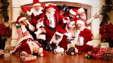 Santas in the Barn (2015) - Stream Online