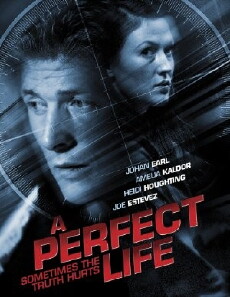 A Perfect Life (2010) - Stream Online
