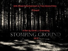 Stomping Ground (2016) - Stream Online
