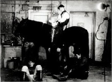 Horse (1965) - Stream Online