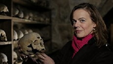 Secret History (1991) - Stream Online