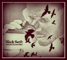 Black Swift (2019) - Stream Online