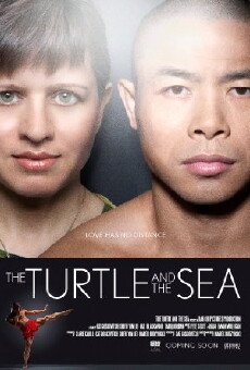 The Turtle and the Sea (2014) - Stream Online